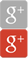 Google+ icon